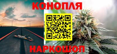 ешки Бердск