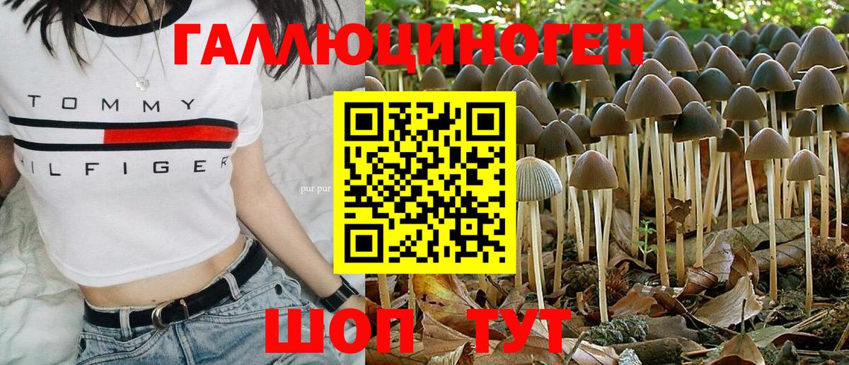 Псилоцибиновые грибы Magic Shrooms  магазин продажи наркотиков  Джанкой  Вход с VPN 